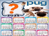 Foto Calendário 2025 Cachorro Pug Moldura